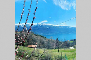 VillaTullia Ferienhaus mit Seesicht Gardasee